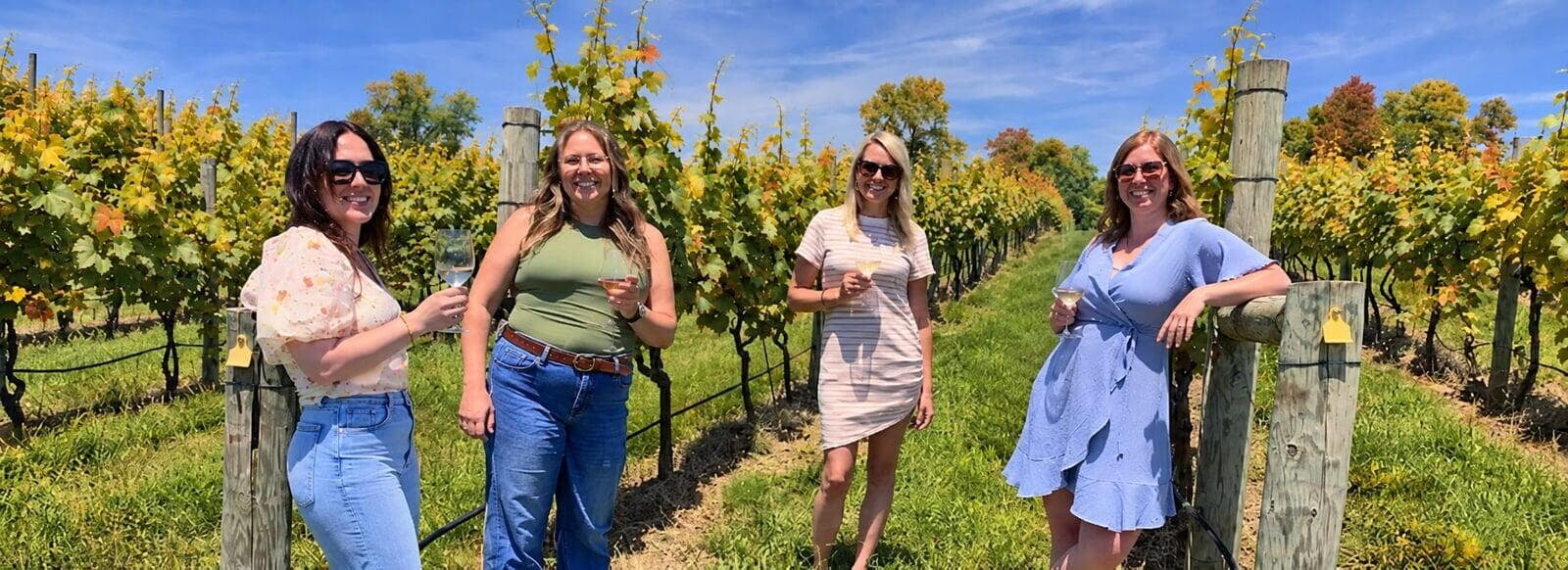 Four friends with glasses of wine standing between the vine rows