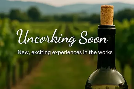 Halloween Hauntings Wine Experience in Northern Virginia — friends in costumes sipping wine at a spooky winery during a seasonal wine country tour.